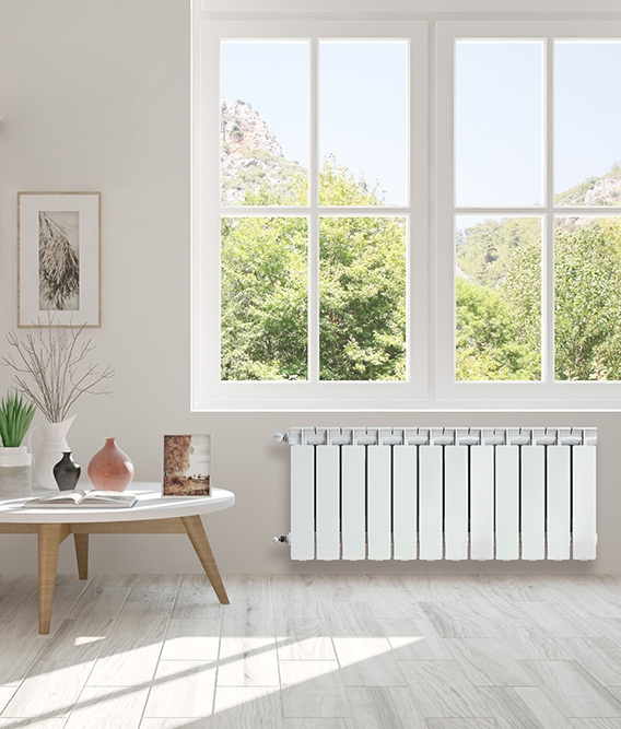 imagen_2025-07-25_112711962